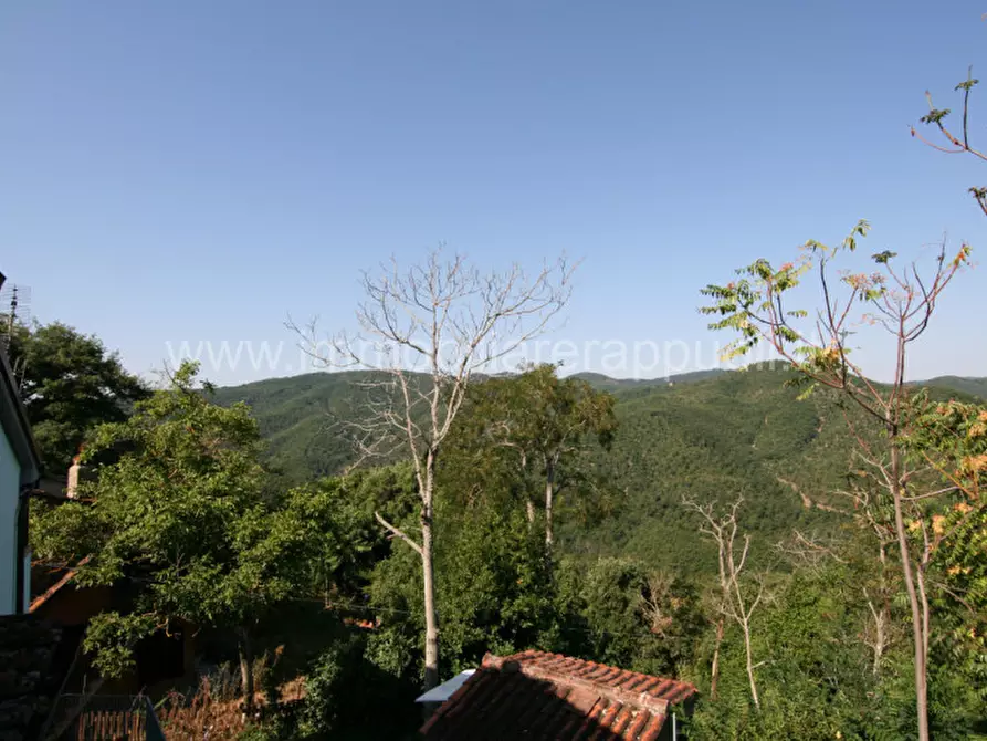 Immagine 32 di Rustico / casale in vendita  a Arezzo