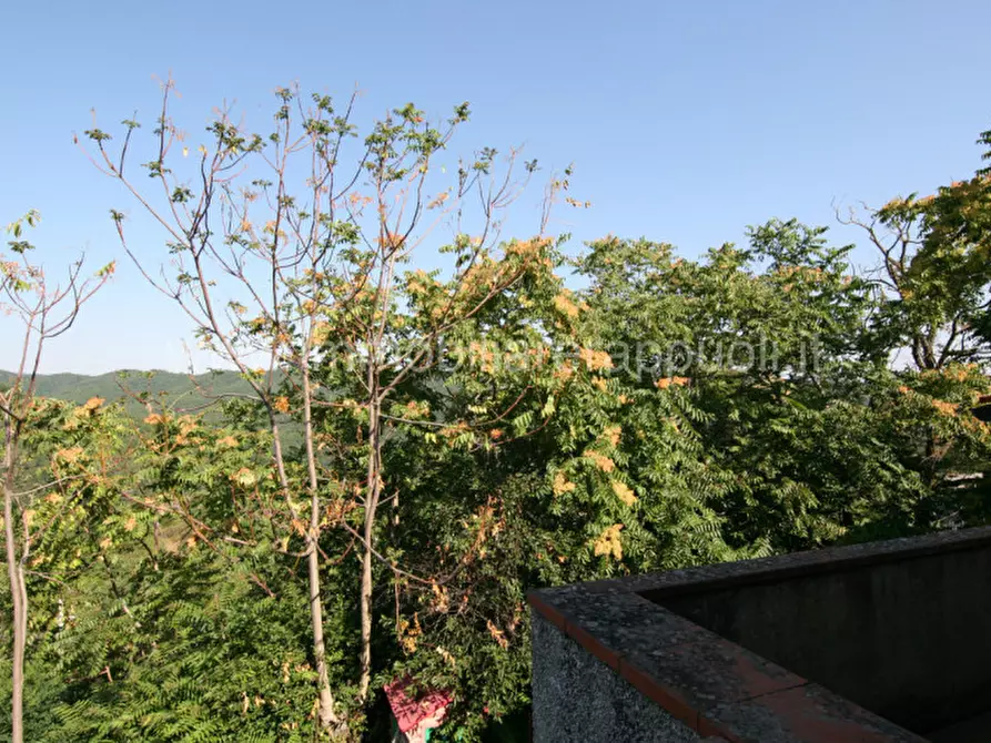 Immagine 33 di Rustico / casale in vendita  a Arezzo