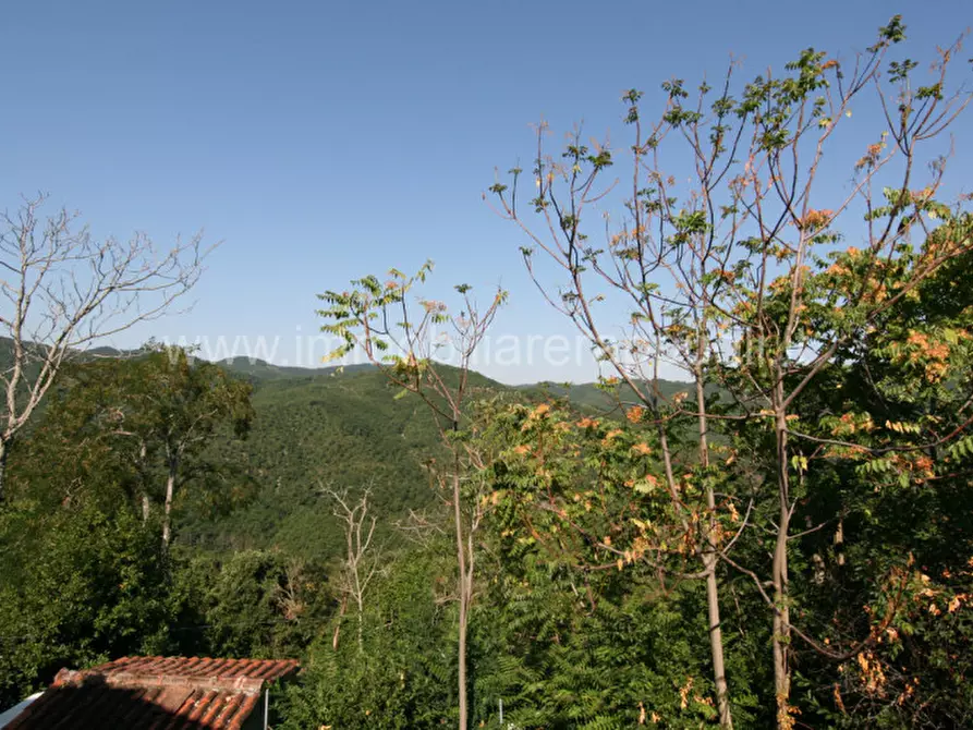 Immagine 39 di Rustico / casale in vendita  a Arezzo