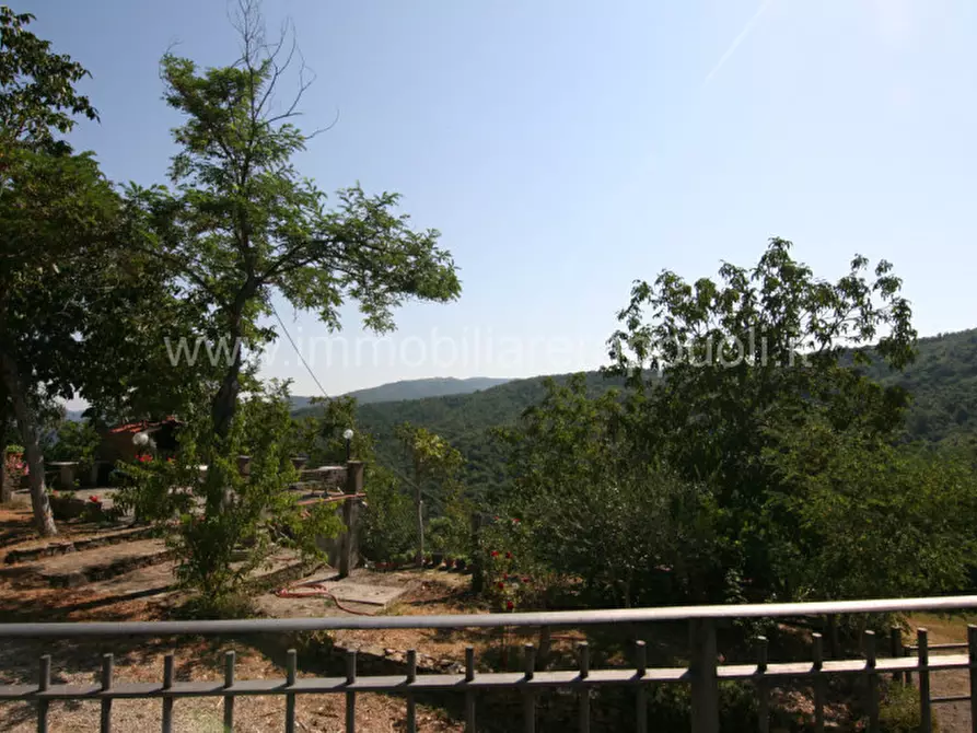 Immagine 58 di Rustico / casale in vendita  a Arezzo