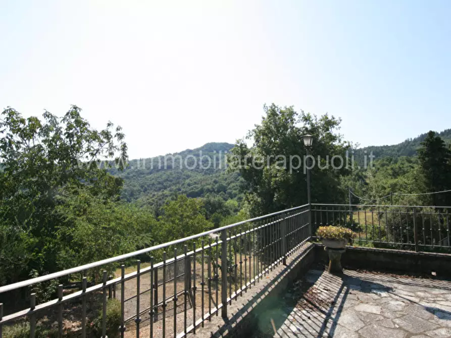 Immagine 59 di Rustico / casale in vendita  a Arezzo