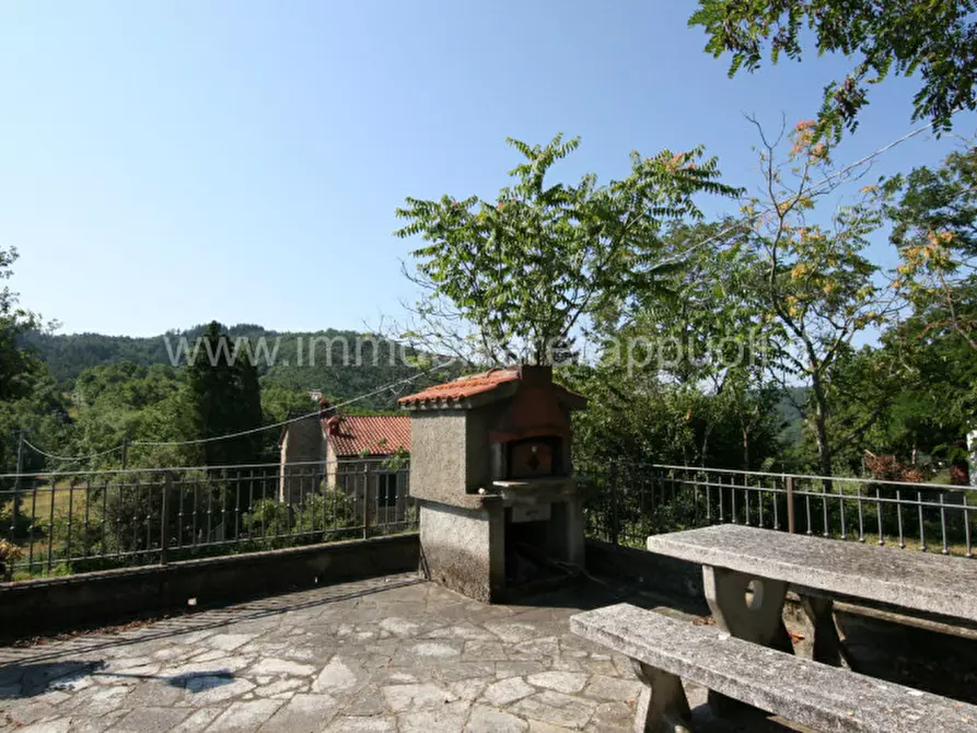 Immagine 60 di Rustico / casale in vendita  a Arezzo