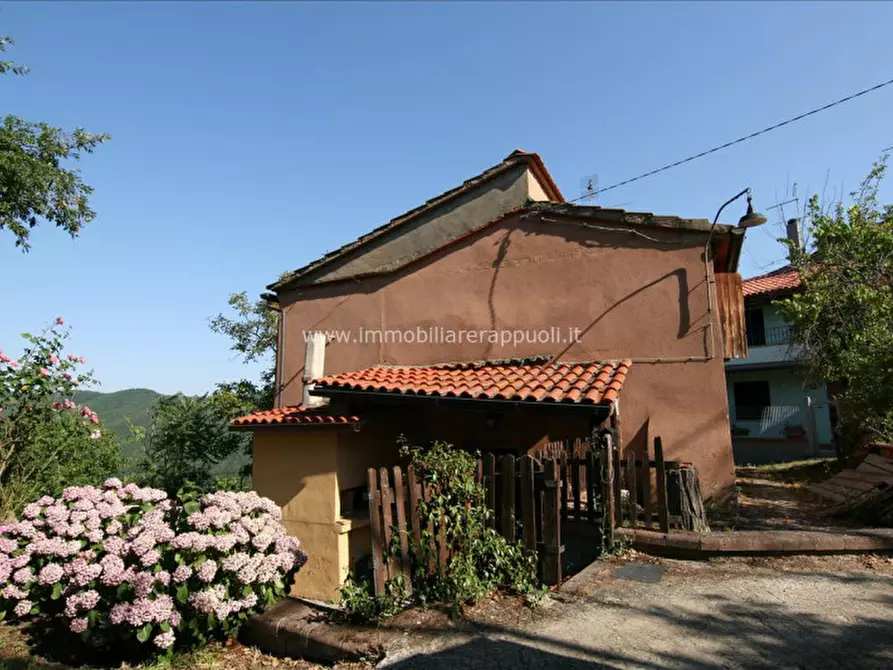 Immagine 1 di Rustico / casale in vendita  a Arezzo