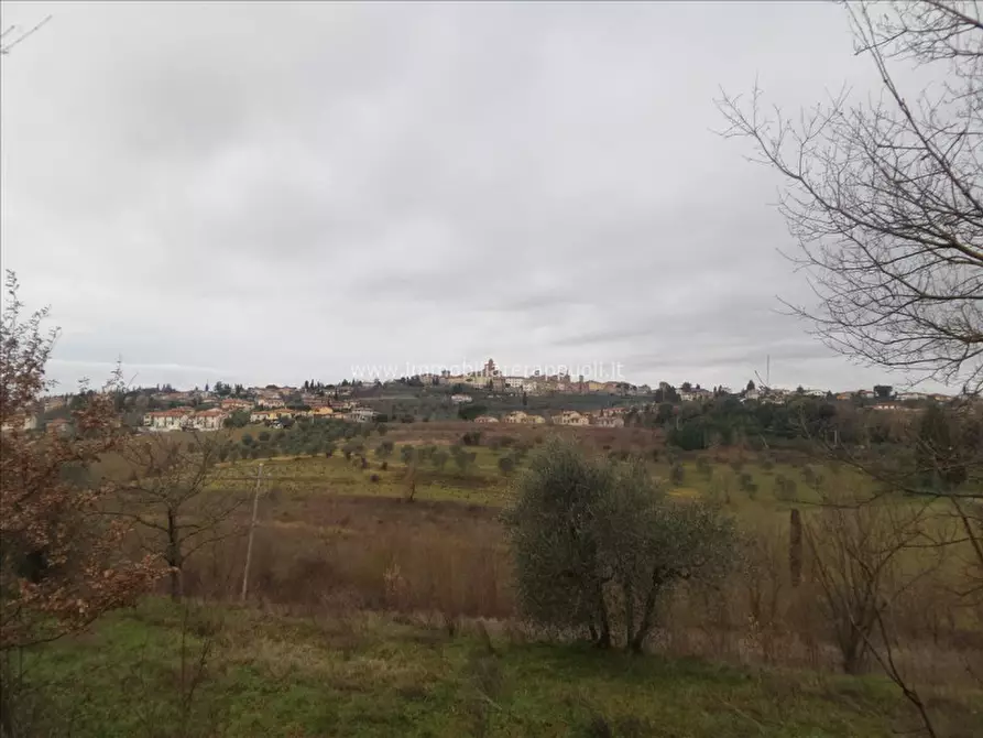 Immagine 13 di Casa indipendente in vendita  a Lucignano