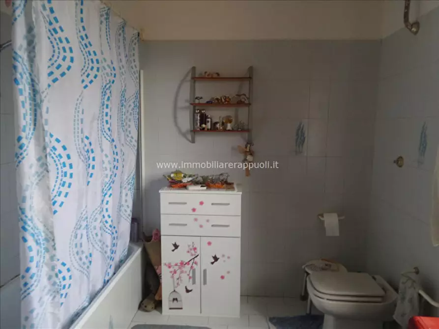 Immagine 18 di Casa indipendente in vendita  a Lucignano