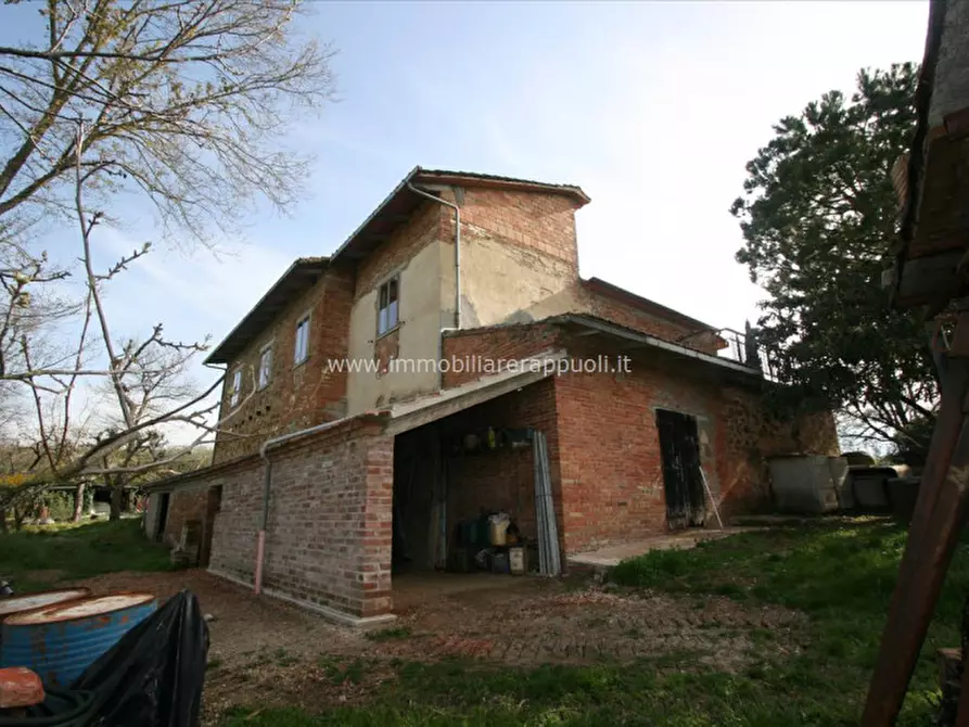 Immagine 2 di Rustico / casale in vendita  a Torrita Di Siena
