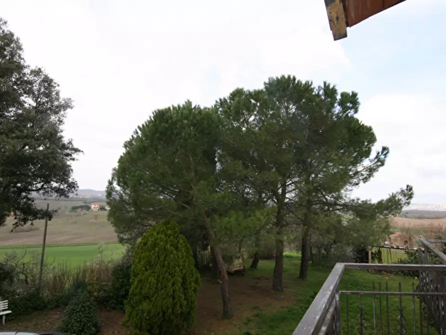 Immagine 25 di Rustico / casale in vendita  a Torrita Di Siena
