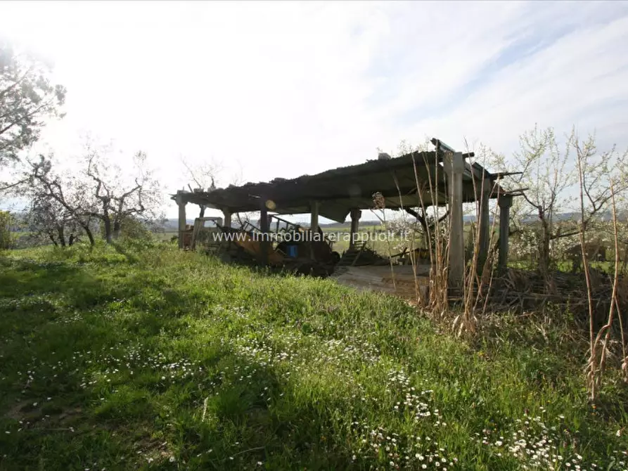 Immagine 3 di Rustico / casale in vendita  a Torrita Di Siena