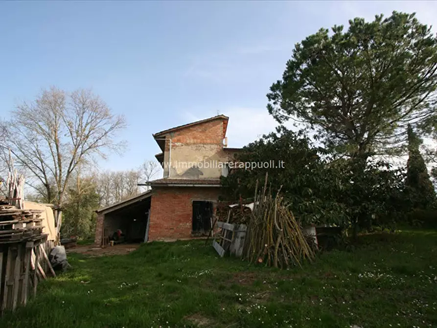 Immagine 4 di Rustico / casale in vendita  a Torrita Di Siena