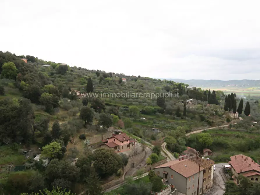 Immagine 7 di Appartamento in vendita  a Sinalunga