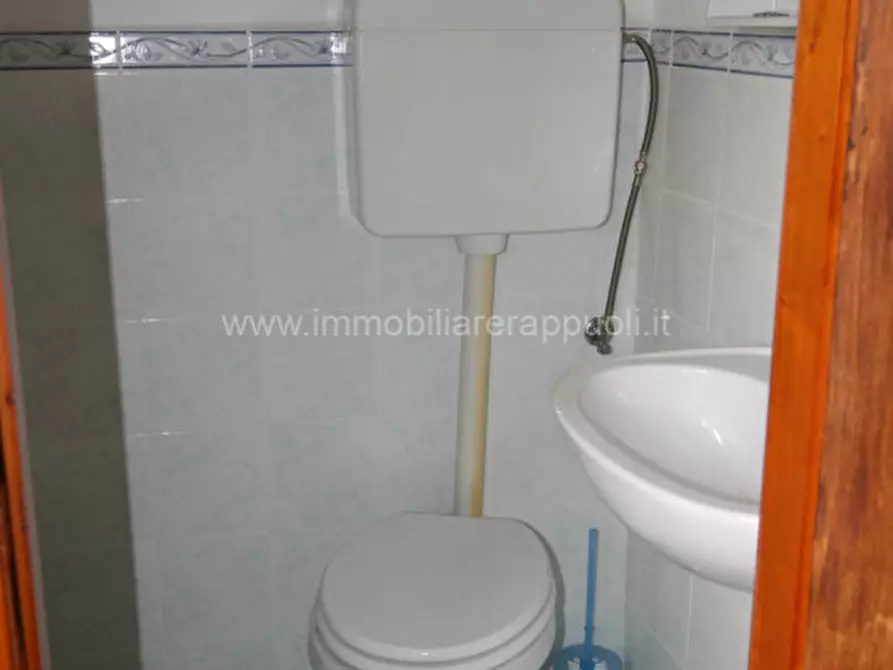 Immagine 8 di Appartamento in vendita  a Sinalunga