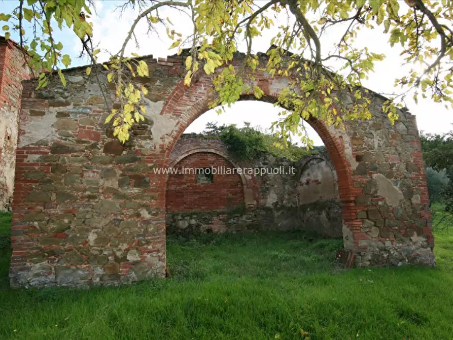 Immagine 2 di Rustico / casale in vendita  a Sinalunga