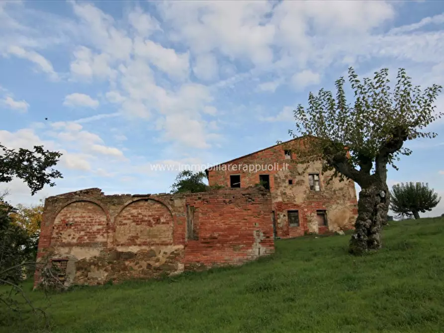 Immagine 3 di Rustico / casale in vendita  a Sinalunga