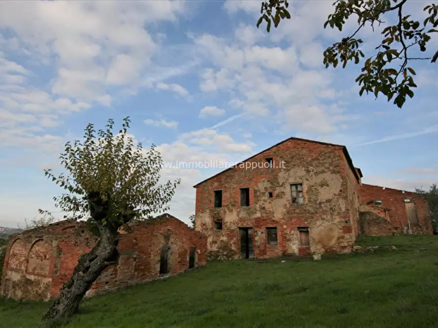 Immagine 4 di Rustico / casale in vendita  a Sinalunga