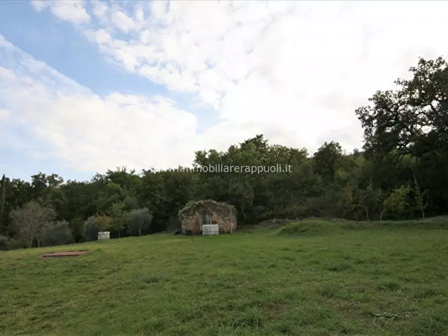 Immagine 5 di Rustico / casale in vendita  a Sinalunga