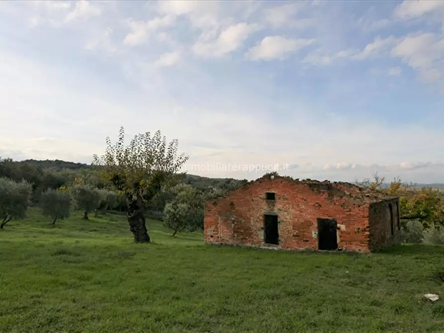 Immagine 6 di Rustico / casale in vendita  a Sinalunga