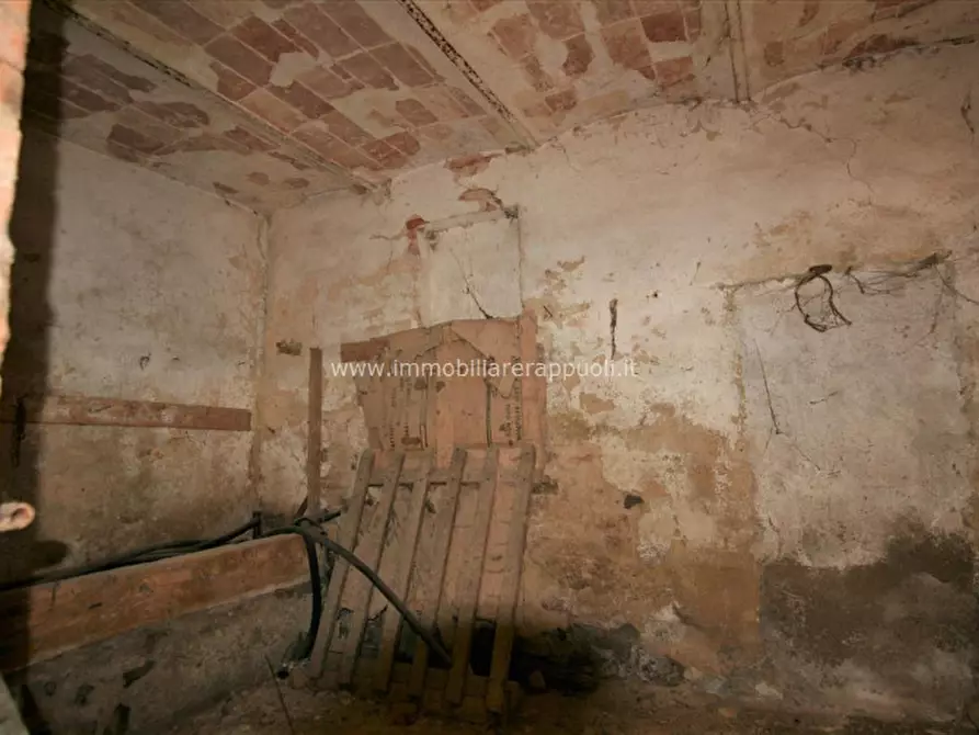 Immagine 8 di Rustico / casale in vendita  a Sinalunga
