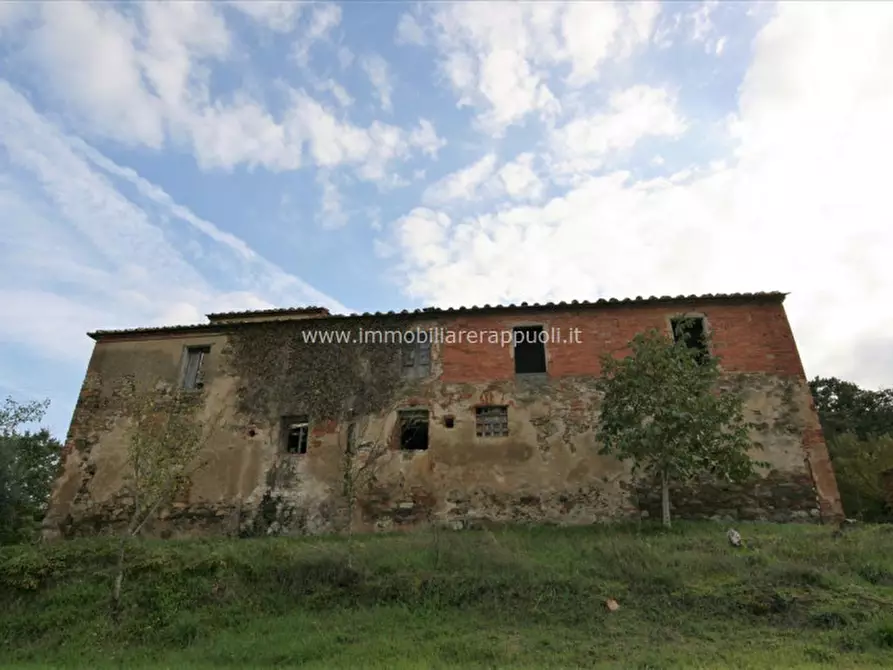 Immagine 12 di Rustico / casale in vendita  a Sinalunga