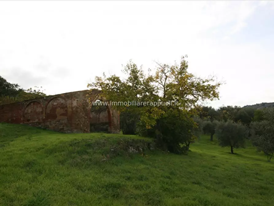 Immagine 13 di Rustico / casale in vendita  a Sinalunga