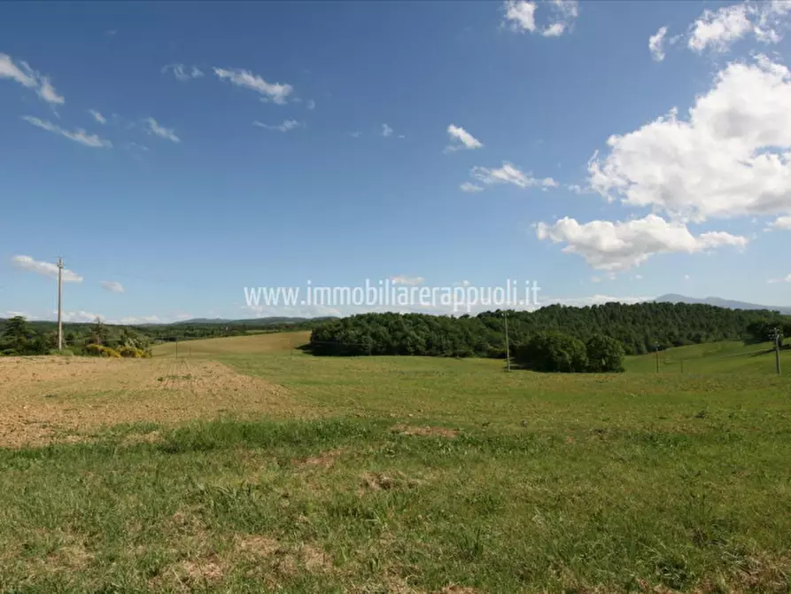 Immagine 2 di Terreno in vendita  a Pienza