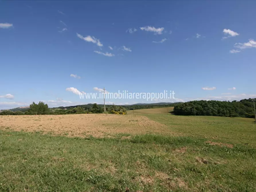 Immagine 3 di Terreno in vendita  a Pienza