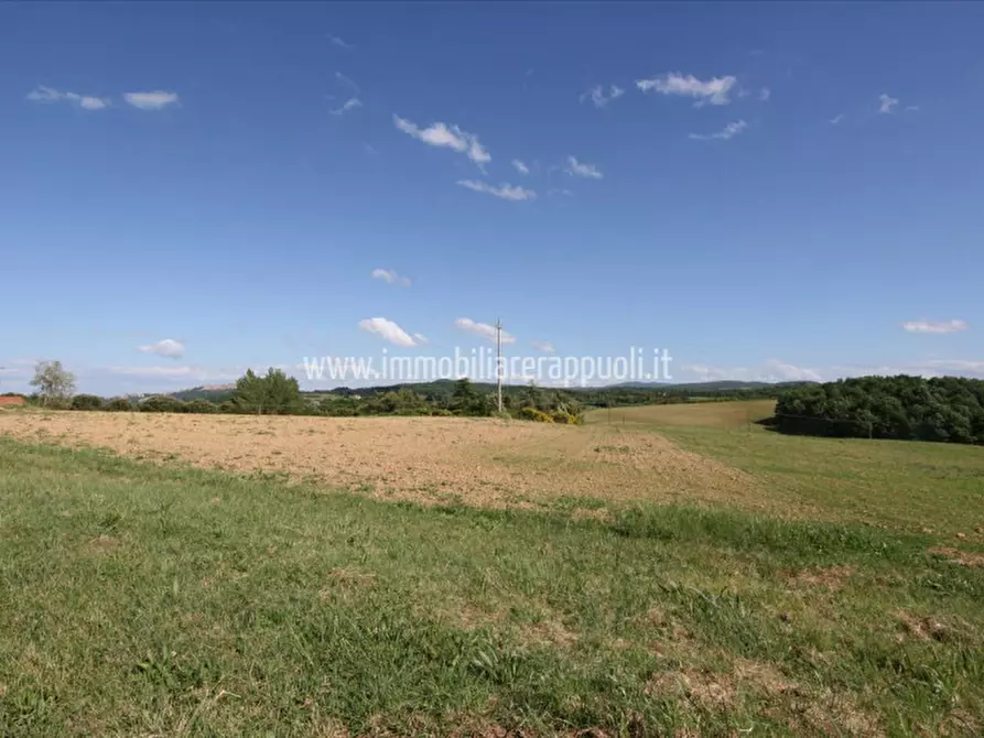 Immagine 4 di Terreno in vendita  a Pienza