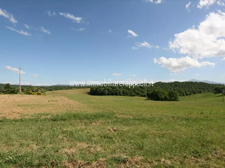 Immagine 5 di Terreno in vendita  a Pienza