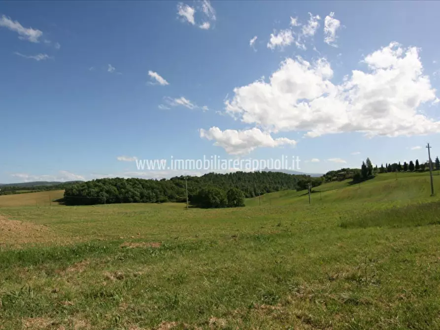 Immagine 6 di Terreno in vendita  a Pienza