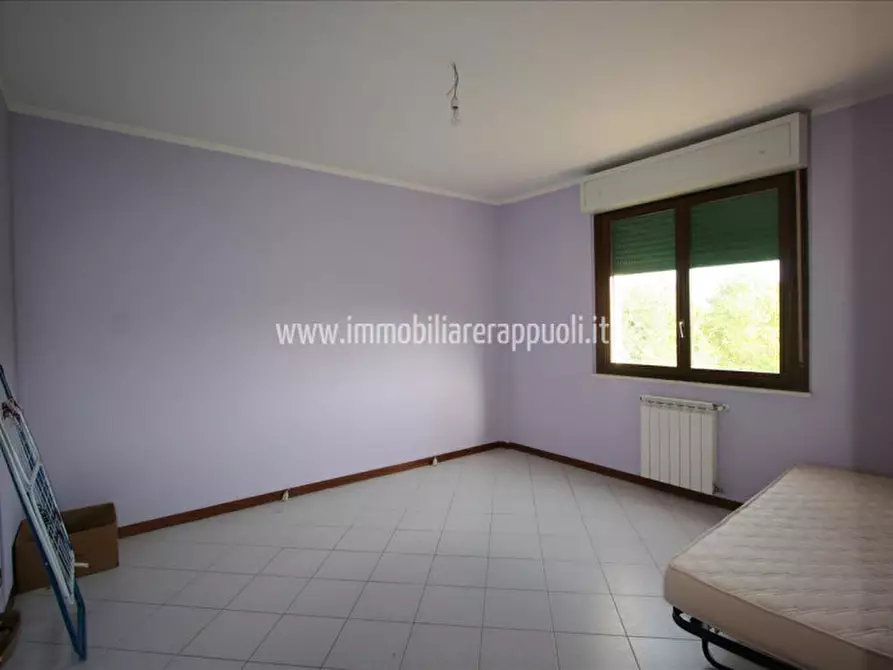 Immagine 4 di Appartamento in vendita  a Sinalunga