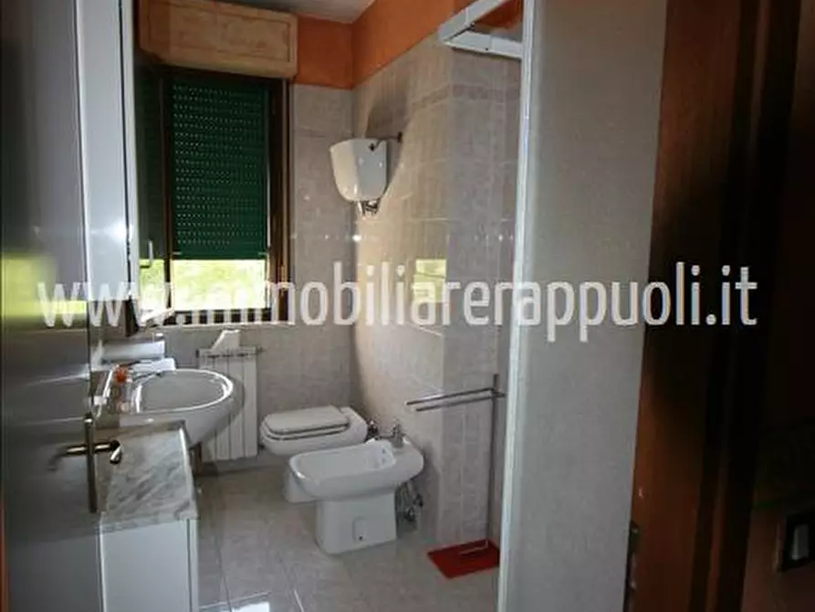 Immagine 5 di Appartamento in vendita  a Sinalunga