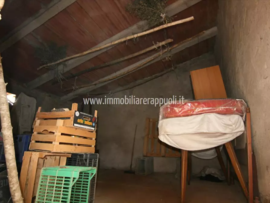 Immagine 6 di Casa indipendente in vendita  a Trequanda