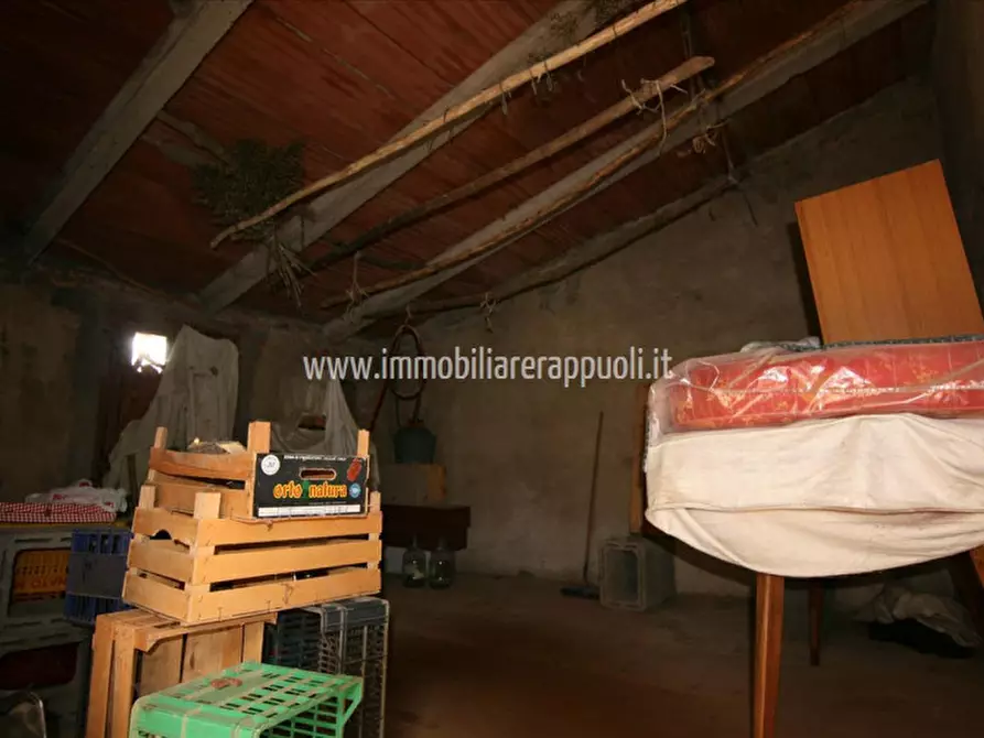 Immagine 7 di Casa indipendente in vendita  a Trequanda