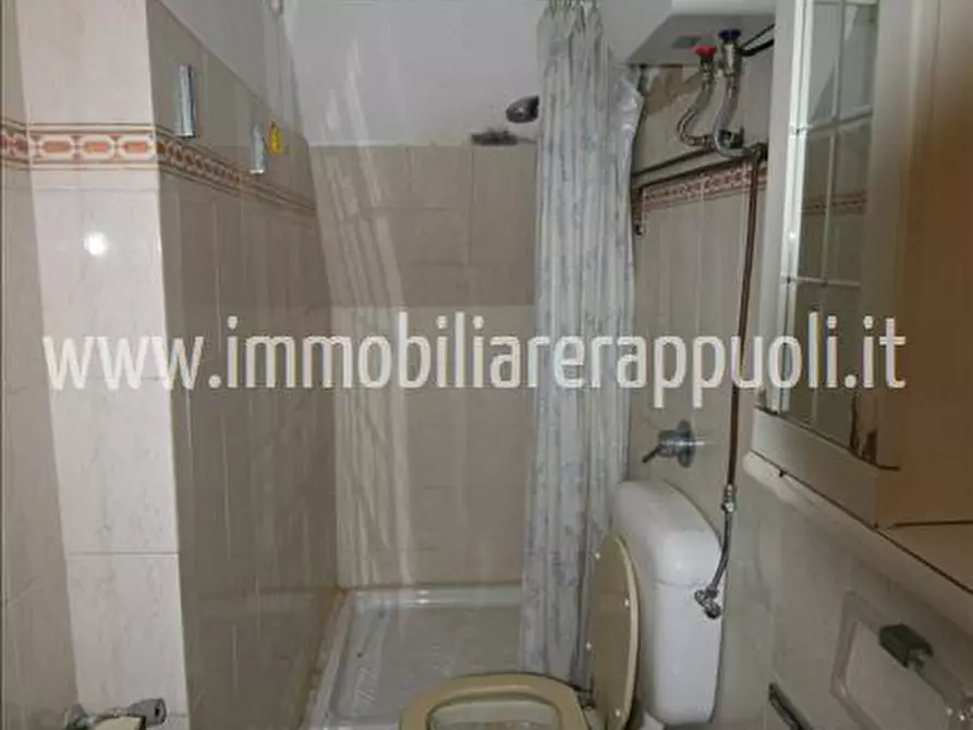 Immagine 15 di Casa indipendente in vendita  a Trequanda