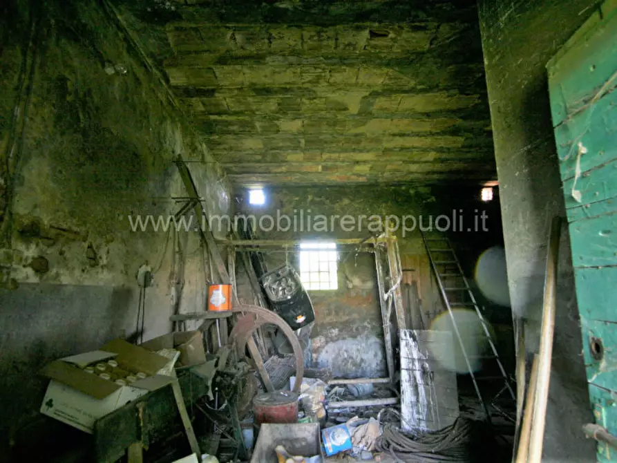 Immagine 21 di Rustico / casale in vendita  a Cortona