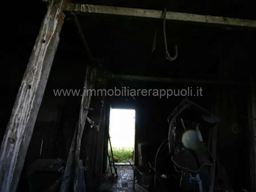 Immagine 23 di Rustico / casale in vendita  a Cortona