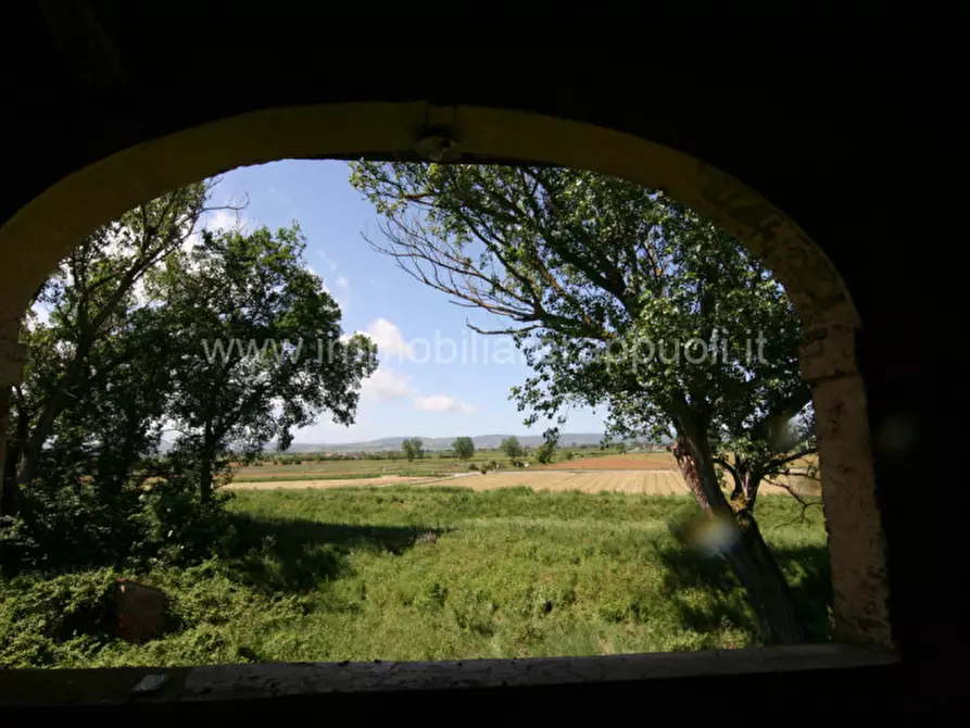 Immagine 27 di Rustico / casale in vendita  a Cortona