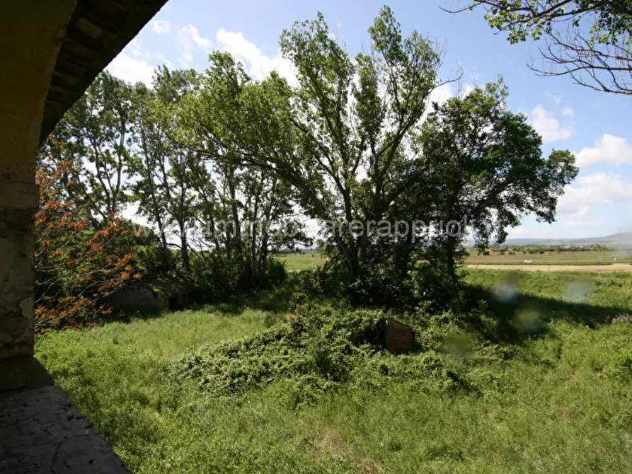 Immagine 28 di Rustico / casale in vendita  a Cortona