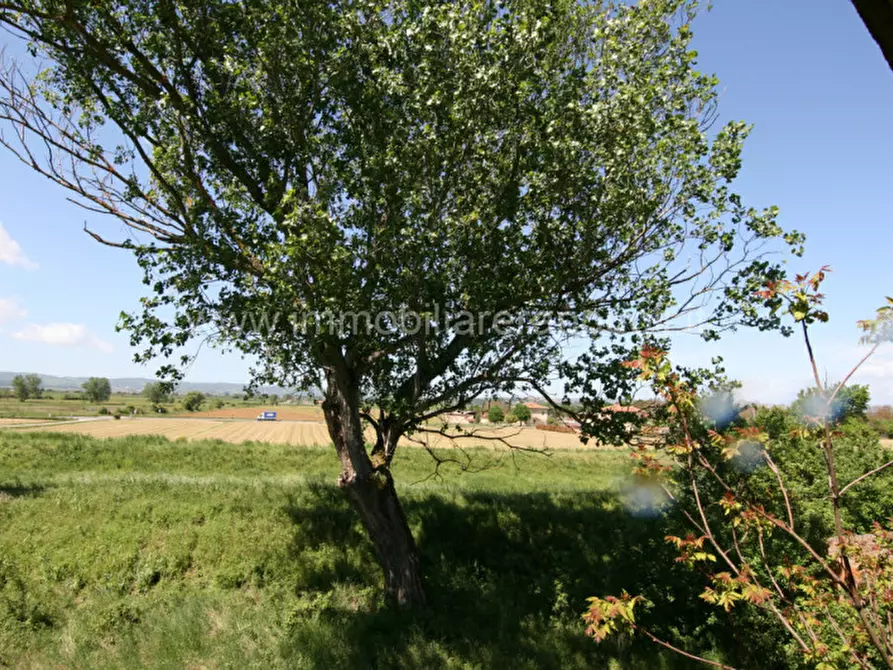 Immagine 29 di Rustico / casale in vendita  a Cortona