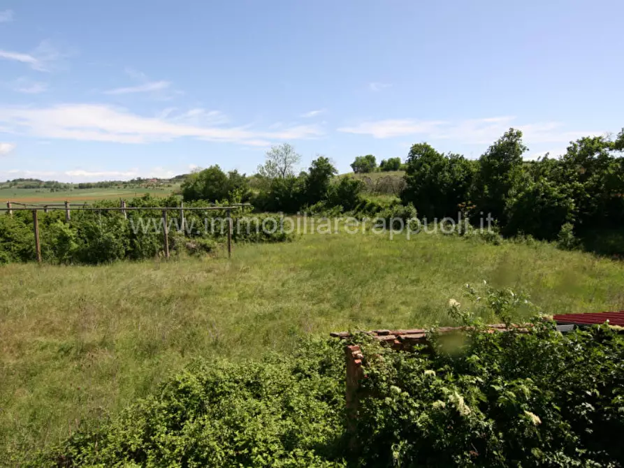 Immagine 31 di Rustico / casale in vendita  a Cortona