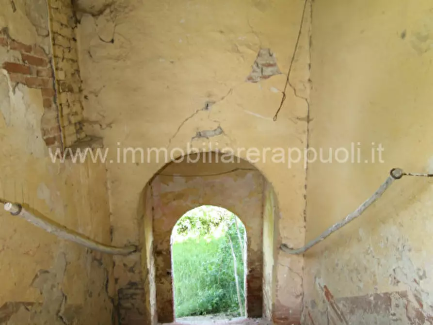 Immagine 40 di Rustico / casale in vendita  a Cortona