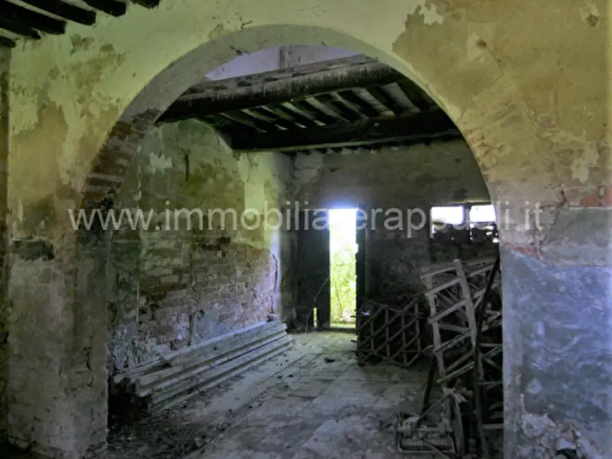 Immagine 42 di Rustico / casale in vendita  a Cortona