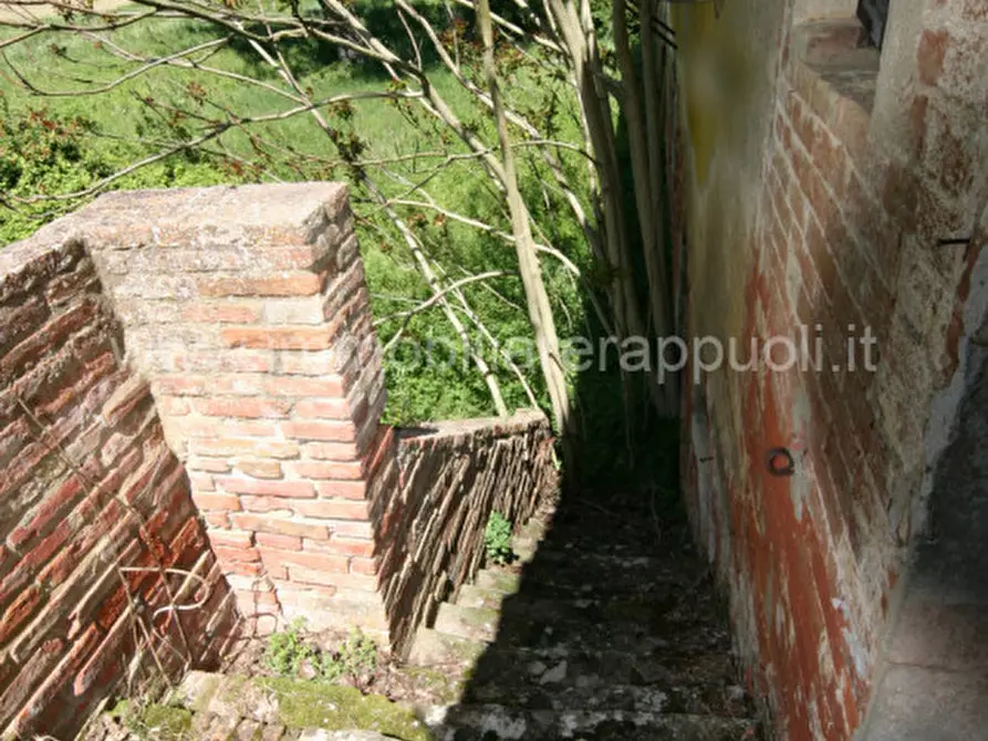 Immagine 45 di Rustico / casale in vendita  a Cortona