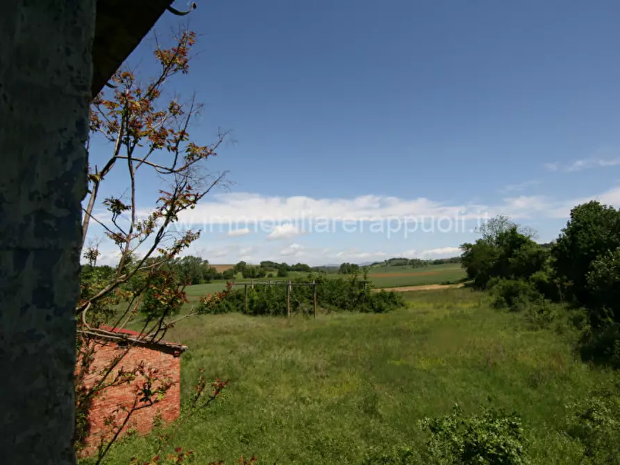 Immagine 48 di Rustico / casale in vendita  a Cortona
