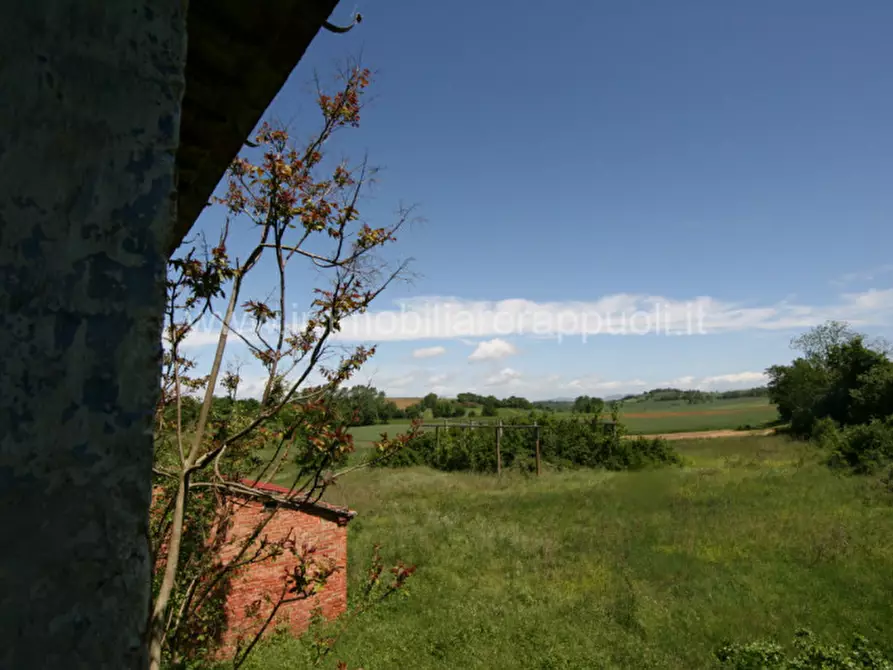 Immagine 49 di Rustico / casale in vendita  a Cortona