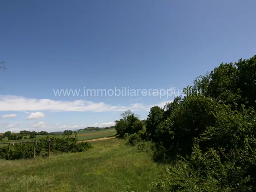 Immagine 50 di Rustico / casale in vendita  a Cortona