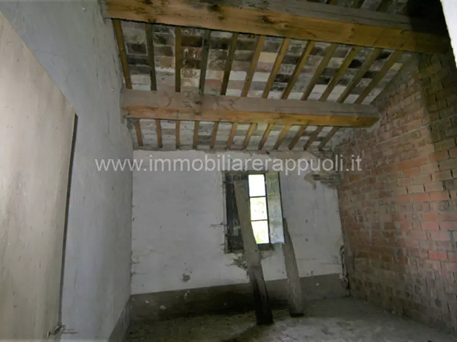 Immagine 51 di Rustico / casale in vendita  a Cortona