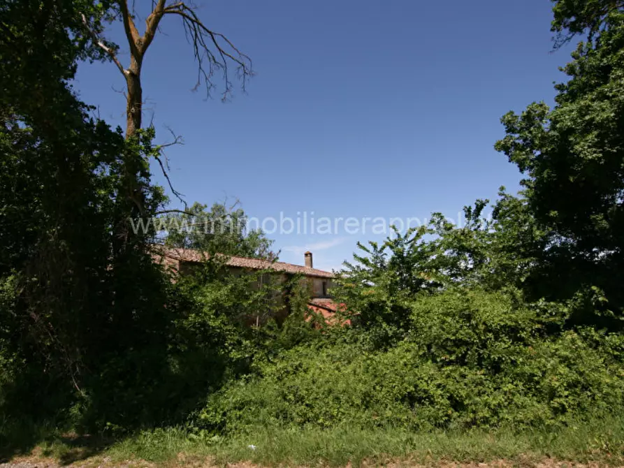 Immagine 52 di Rustico / casale in vendita  a Cortona