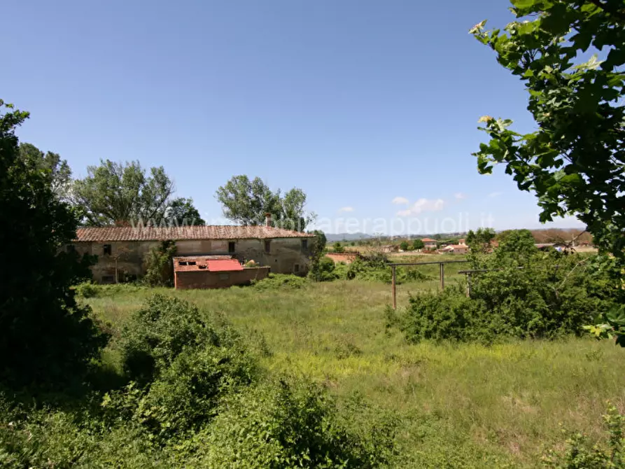 Immagine 54 di Rustico / casale in vendita  a Cortona