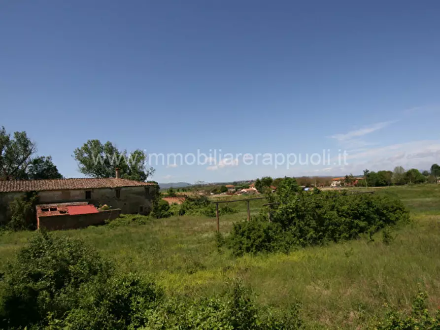 Immagine 55 di Rustico / casale in vendita  a Cortona