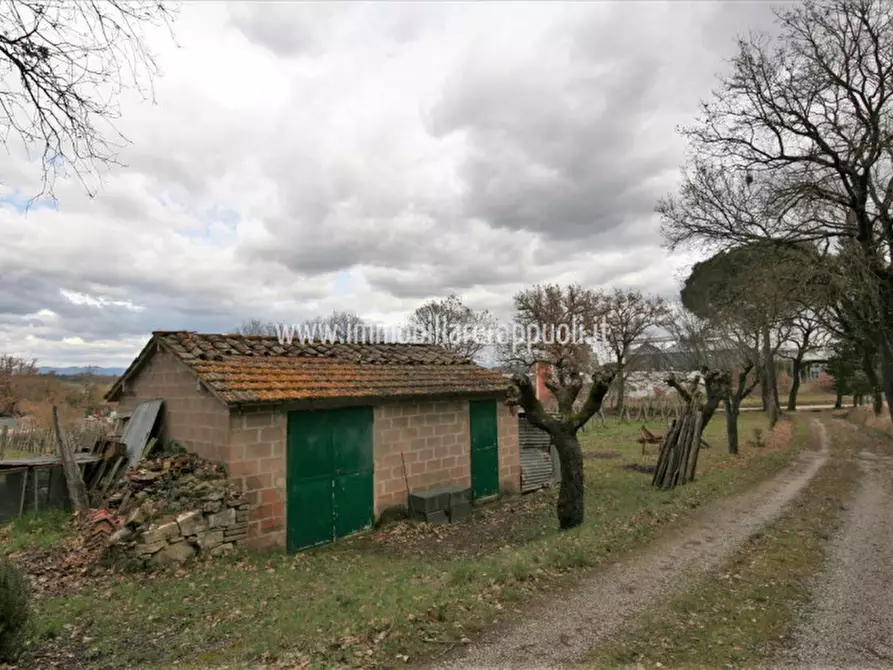 Immagine 1 di Rustico / casale in vendita  a Sinalunga